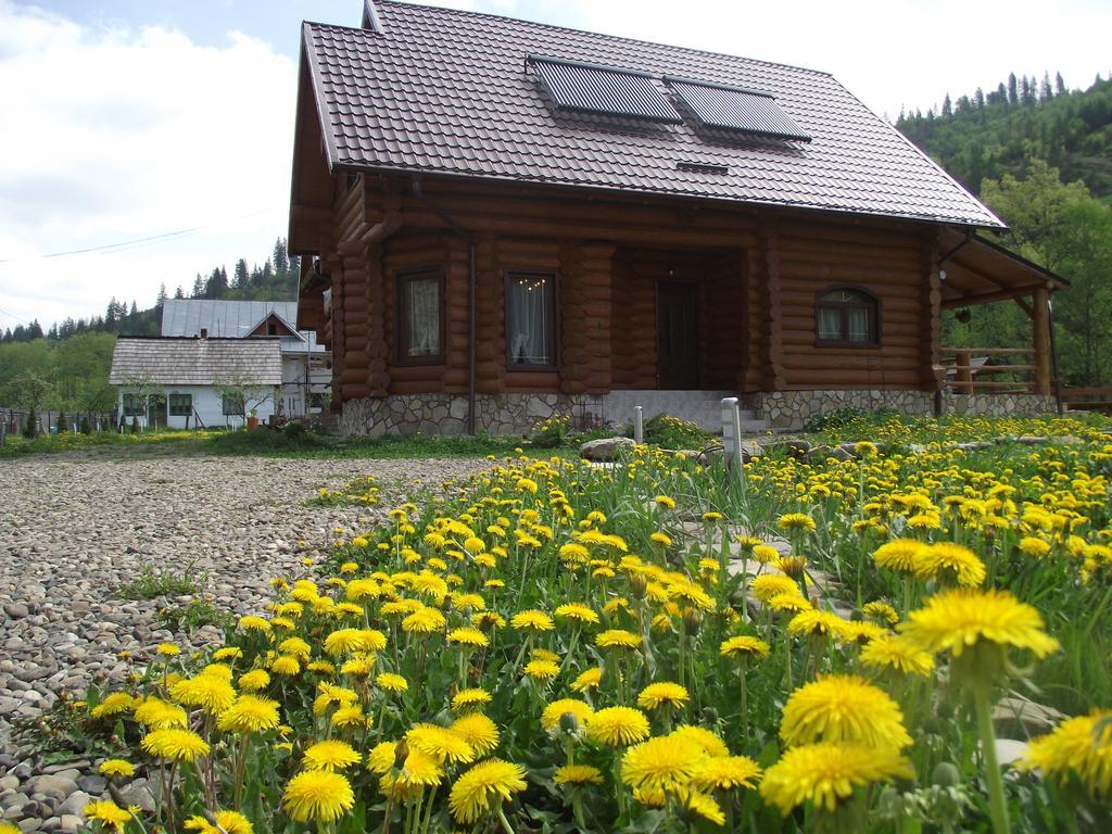 Cabana Piatra Runcului Vatra Moldovitei Ngoại thất bức ảnh