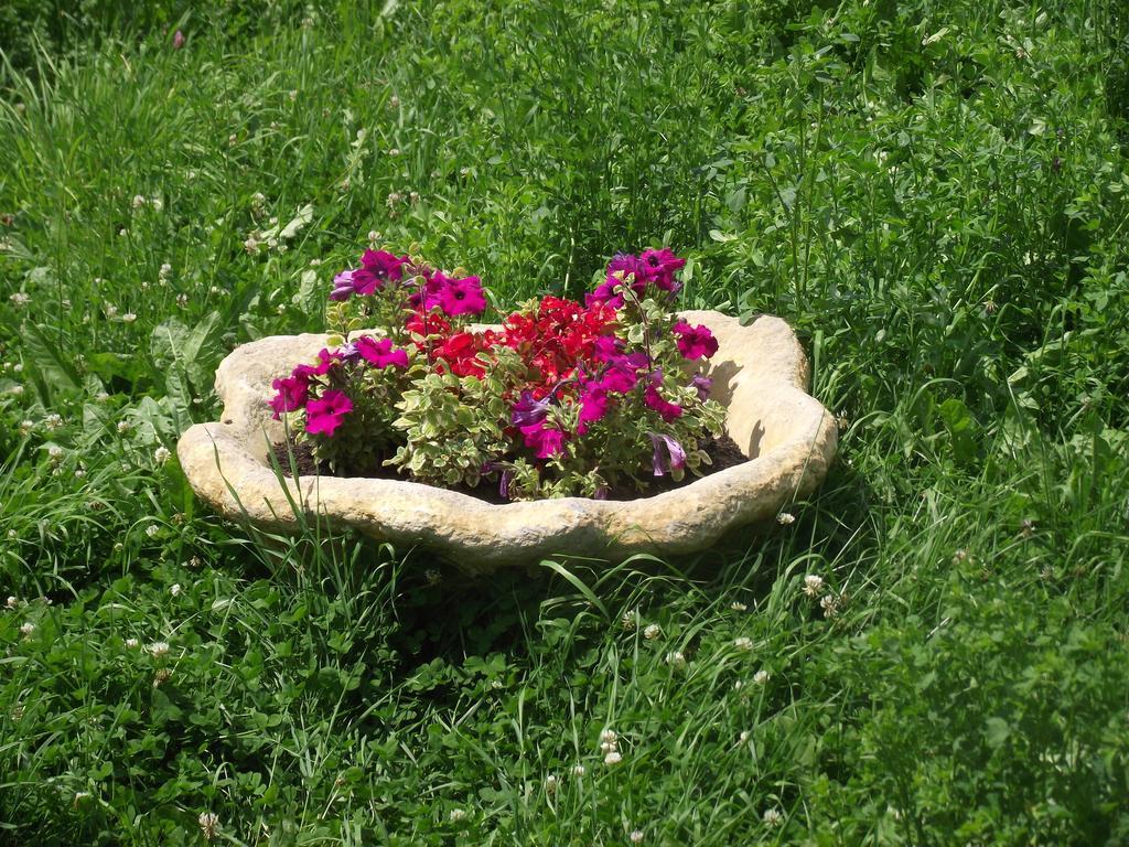 Cabana Piatra Runcului Vatra Moldovitei Ngoại thất bức ảnh