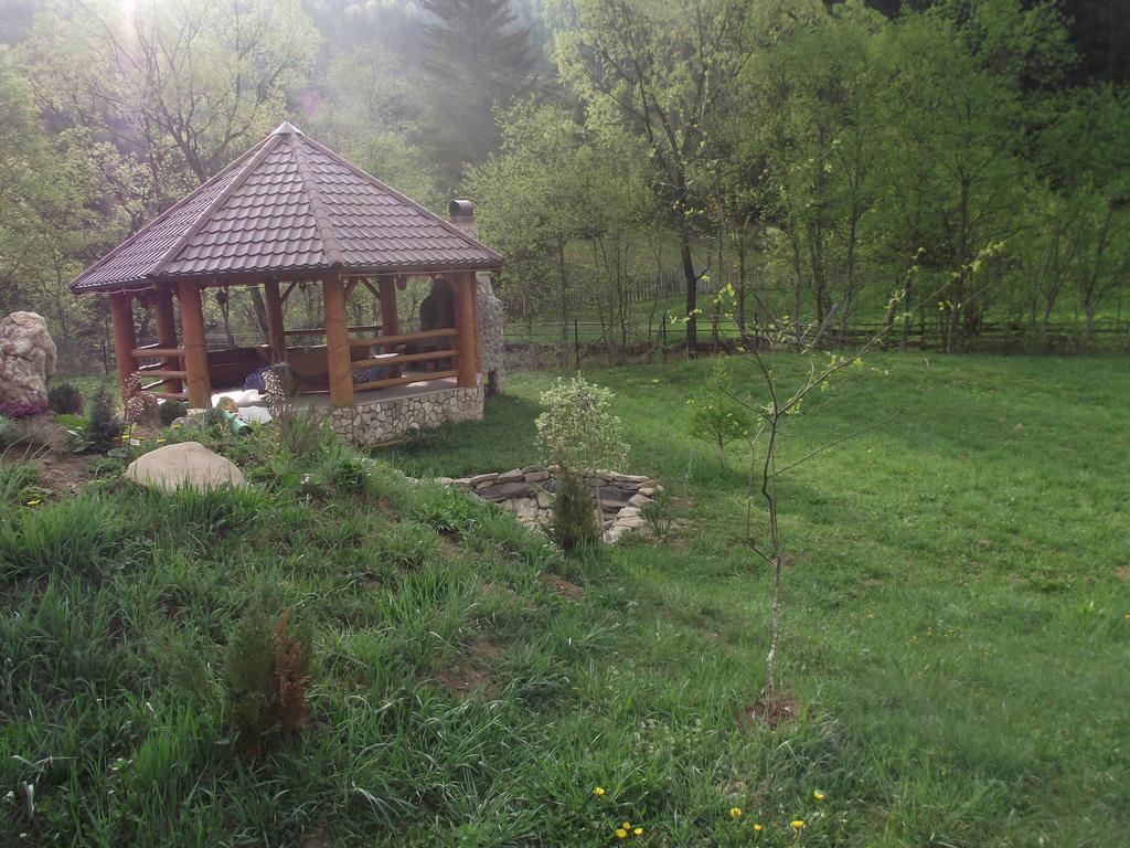 Cabana Piatra Runcului Vatra Moldovitei Ngoại thất bức ảnh